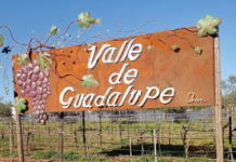 Demand for tourism services in Baja California drops 35%