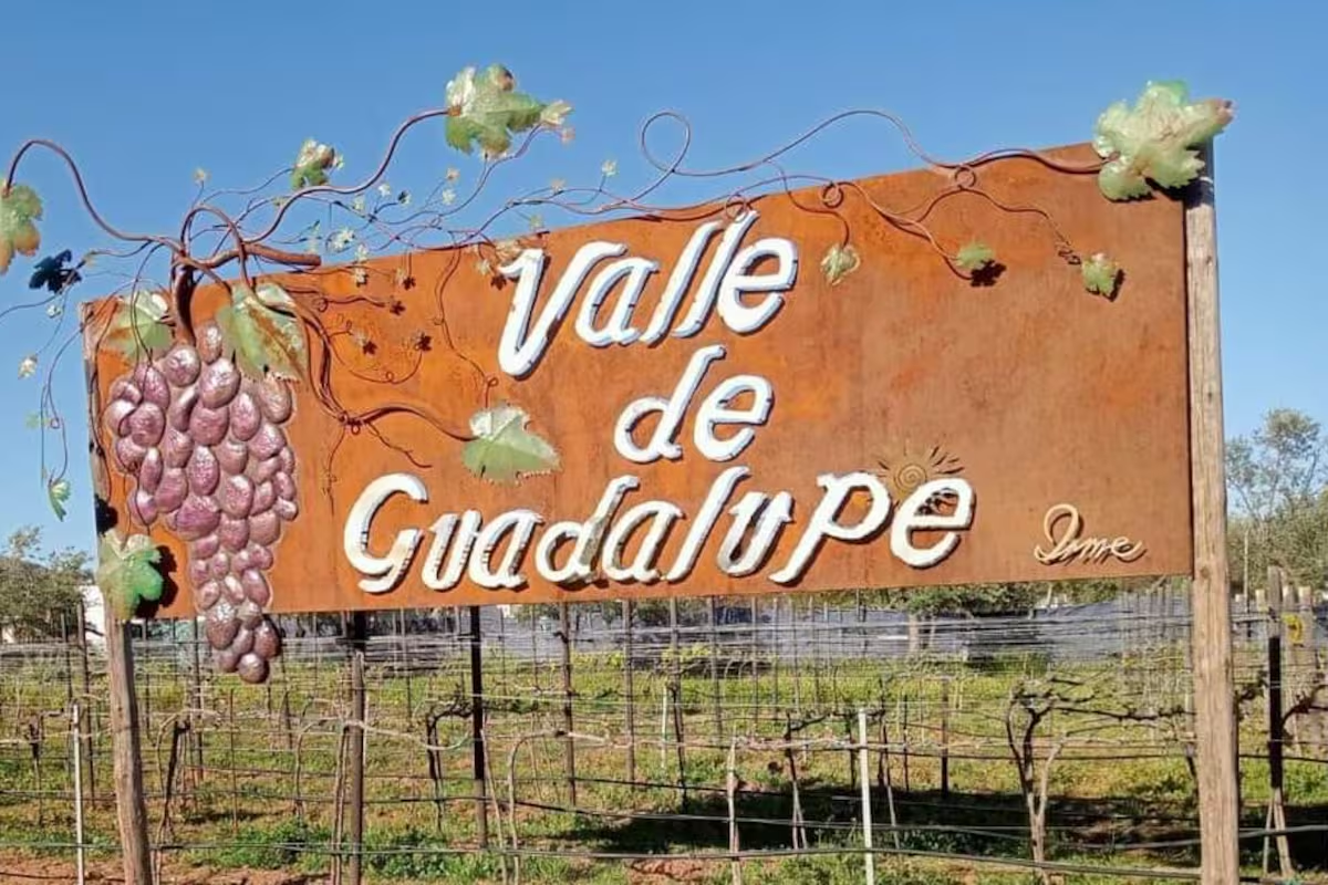 Demand for tourism services in Baja California drops 35%